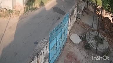 ਪਟਿਆਲਾ: ਬੀੜ ਕੌਲੀ ਦੇ ਗੁਰਦੁਆਰਾ ਸਾਹਿਬ 'ਚ ਹੋਈ ਚੋਰੀ