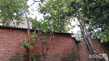 गोंडा: कोचवा फीडर पर आंधी-पानी की वजह से 11 केवी बिजली लाइनों पर लटके पेड़ों को विभाग द्वारा हटाए जाने का काम हुआ शुरू