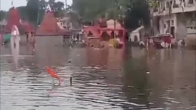 उज्जैन शहर: उज्जैन में बारिश के कारण शिप्रा नदी का जलस्तर बढा, रामघाट पर छोटे मंदिर डुबे