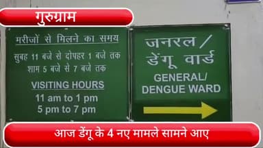 वज़ीराबाद: गुरुग्राम में आज डेंगू के 4 नए मामले सामने आए, अब तक 120 मरीज आ चुके हैं सामने