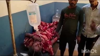 बांदा: ओरन गांव में खेत में काम करते समय जहरीले सांप के काटने से महिला की बिगड़ी हालत, जिला अस्पताल में कराया गया भर्ती