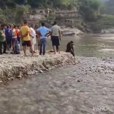 टिहरा सुजानपुर: पुंग खड्ड में डूबे युवक का 72 घंटे की तलाश के बाद भी नहीं मिला कोई सुराग, वापस लौटे गोताखोर