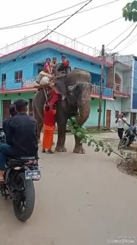 हाथी घोड़ा पालकी जय कन्हैया लाल की 
#sunilshah