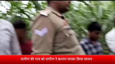 बीसलपुर: रांठ गांव में ग्रामीण की घर से खुलकर खेत पर गई गाय को बल्लभ मारकर उतारा मौत  के घाट, दो ग्रामीणों पर मुकदमा दर्ज