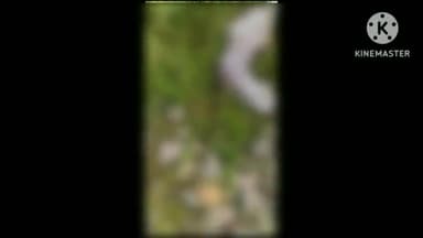 भदोही: कधिया पशु अस्पताल के पास आज ट्रेन की चपेट में आने से अज्ञात अधेड़ की हुयी मौत, पुलिस ने शव लिया कब्जे में