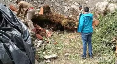 देहरादून: प्रभागीय वन अधिकारी वैभव कुमार ने माल रोड पर काटे गए वृक्ष को लेकर किया निरीक्षण