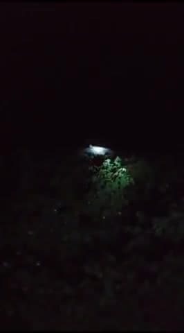 रावला: 10KPD की रोही मे तेंदुए की सूचना से ग्रामीणों मे हङकंप,वन विभाग को दी सूचना