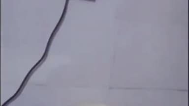 रतलाम नगर: रेलवे की कॉलोनी में टपकता है छत से पानी निकलते हैं जंगली जानवर  युवती ने दी जानकारी में बताया