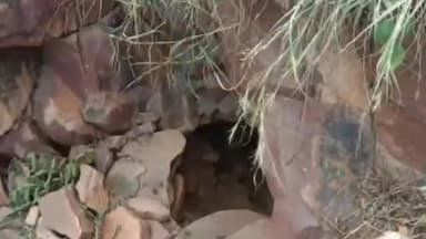 छोटीसादड़ी: धोलापानी के जंगल में लापता हुए युवक का अभी तक नहीं लगा कोई सुराग, पांचवें दिन भी सर्च ऑपरेशन जारी