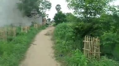 करपी: करपी में समाजसेवी ने मुखिया प्रतिनिधि पर लगाया उसकी निजी ज़मीन पर वृक्षारोपण करने का आरोप