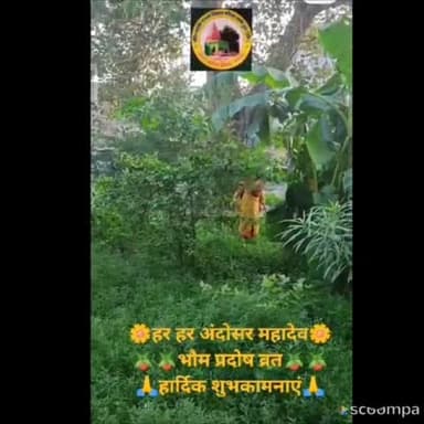 #news हर हर अंदोसर महादेव 🌼🌼 भौम प्रदोष व्रत की हार्दिक शुभकामनाएं 🙏🙏 #मेरे_भोलेनाथ #चलो_अंदोसर #हर_हर_महादेव