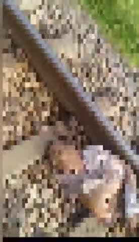 भदोही: कन्धिया पशु चिकित्सालय के पास रेलवे ट्रैक पर मिले शव की कई घंटे बीत जाने के बाद भी नहीं हो सकी पहचान