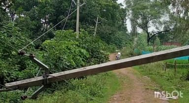 रामसनेही घाट: दरियाबाद के मिरकापुर में तेज हवाओं के कारण पेड़ टूटकर बिजली के खंभों पर गिरे, कई खंभे टूटने से विद्युत आपूर्ति हुई बाधित