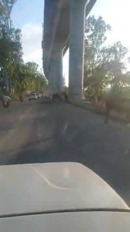 delhi via meerut road par cow animals accidents par hours