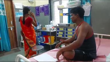 बैतूल नगर: खंज़नपुर में एक युवक पर मधुमक्खियों ने किया हमला, जिला अस्पताल में कराया गया भर्ती