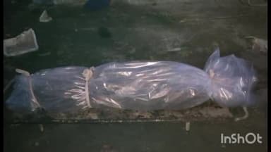 आरा: आरा क्षेत्र में 8 दिन से लापता एक युवक का शव गांगी नदी से हुआ बरामद, घटना की जांच में जुटी पुलिस