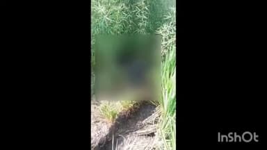 कटिहार: मुफस्सिल थाना क्षेत्र में मोंगरा फ़ॉर लेन के समीप झाड़ियों में मिला एक व्यक्ति का शव, जांच शुरू