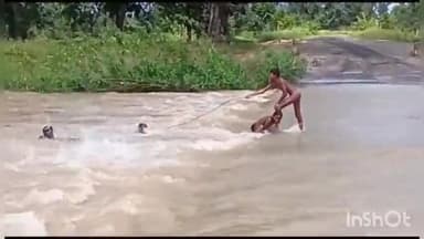 पेण्ड्रा: बम्हनी नदी में बने रपटे में बच्चे जान जोखिम में डालकर उफनती नदी में लगा रहे छलांग