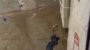 छोटीसादड़ी: अंबावली में वाइन शॉप पर तोड़फोड़ व मारपीट के मामले में धोलापानी पुलिस ने 5 लोगों को किया गिरफ्तार