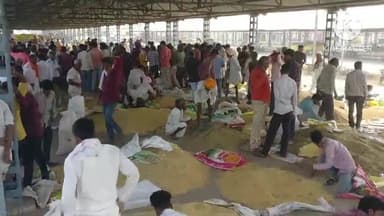 आगर: जिले में समर्थन मूल्य पर धान, ज्वार व बाजरा बेचने के लिए 20 सितंबर से 5 अक्टूबर तक होंगे पंजीयन