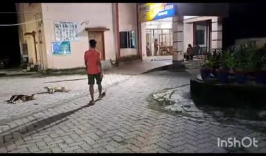 ସମ୍ବଲପୁର ମ୍ୟୁନିସିପାଲଟି: କୁଞ୍ଜେଲପଡା ଅଞ୍ଚଳରୁ ମହିଳା ନିଖୋଜ ଅଭିଯୋଗ