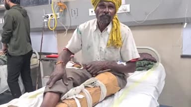 बैतूल नगर: बैलगाड़ी से गिरने के कारण व्यक्ति घायल जिला अस्पताल में भर्ती नए गांव की घटना