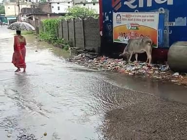 नरसिंहपुर: #narsingpur #mp #problems