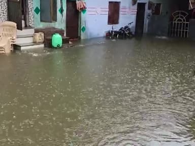 इंदौर: cahndan naghr me ayi bad
#indorecollector