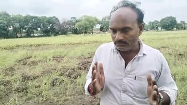 टीकमगढ़ जिले की विधानसभा 44 जतारा की अंतर्गत देखिए किसानों की खड़ी फसल किस प्रकार हुई खराब