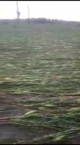 चौरई: #मुआरी, #चौरई 

पेंच नदी में जलस्तर बढ़ने से किसानों की फसल हुई खराब। 
सरकार से अपील है सभी को मुआवजा दे।