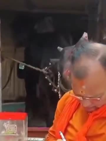 चमत्कारी गाय मंदिर के महंत ने इसको पाल रखाहै आप इसे चारा खिलाते हैं और यह गए चार दाएं साइड से खाती है तो इच्छा पूरी होगी