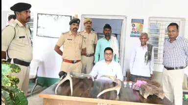 तिलौथू: वन विभाग की टीम ने तिलौथू के मरकोही गांव के जंगल से जंगली सूअर के कंकाल के साथ दो व्यक्ति को किया गिरफ्तार