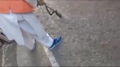 जबलपुर: विस्थापित बस्ती तिलहरी फेस एक घर में निकाला 5 फीट लंबा कोबरा नाग सर्प विशेषज्ञ ने किया रेस्क्यू