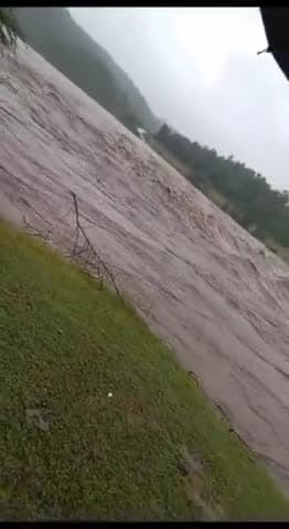 झाबुआ: तेज़ बारिश के चलते अनास नदी उफान पर
नेगडिया न्यूज 

#barish
#jhabua 
#jhabuanews