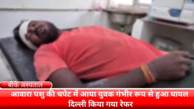 फरीदाबाद: नेशनल हाईवे 19 के समीप आवारा पशु की चपेट में आए युवक बीके अस्पताल से इलाज के लिए दिल्ली किया गया रेफर।