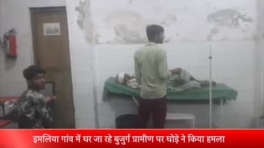 बीसलपुर: इमलिया गांव में घर जा रहे बुजुर्ग पर घोड़े ने किया हमला, घायल को अस्पताल में कराया गया भर्ती