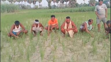 नूरसराय: महगू पुर गांव में बिजली नहीं मिलने से किसानों को खेत पटाने में हुई दिक्कत, 20 सितंबर को किसान जाएंगे अनशन पर