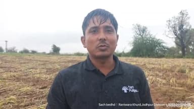 रानीवाड़ा: रानीवाड़ा क्षेत्र में बारिश के बाद किसानों की फसलों को हुआ भारी नुकसान,किसान परेशान।