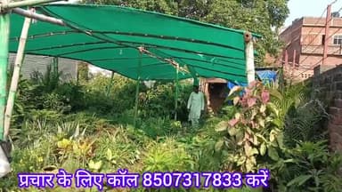 क्या आपको पर पौधा फूल पत्ती सो प्लांट से प्रेम है, तो सबसे अच्छा नर्सरी कहा है जाने