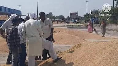 सोनीपत: अनाज मंडी सोनीपत में धान की किस्म 1509 की लगी ₹3500 से ₹3600 प्रति क्विंटल बोली, किसानों को सरकारी खरीद का इंतजार