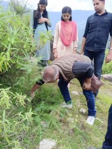 कलबोग: जायका परियोजना के तहत बागी रतनाड़ी में लगाए गए पौधों का वन विभाग की टीम ने किया निरीक्षण