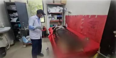 प्रेमनगर: ग्राम बकालो में भालू के हमले से 60 वर्षीय ग्रामीण बुरी तरह से घायल, जिला अस्पताल में चल रहा है इलाज