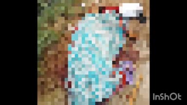 एत्मादपुर: गांव सेफ्फुद्दीन में दो पक्षों के विवाद में वृद्ध महिला की जेसीबी से की गई हत्या, पुलिस पर लगा कार्रवाई ना करने का आरोप