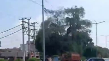 करनाल: आईटीआई चौक कुंजपुरा रोड पर संवेदनशील एरिया में महिला पुलिसकर्मियों की लगाई गई ड्यूटी, अपराध से निपटने की दी गई ट्रेनिंग