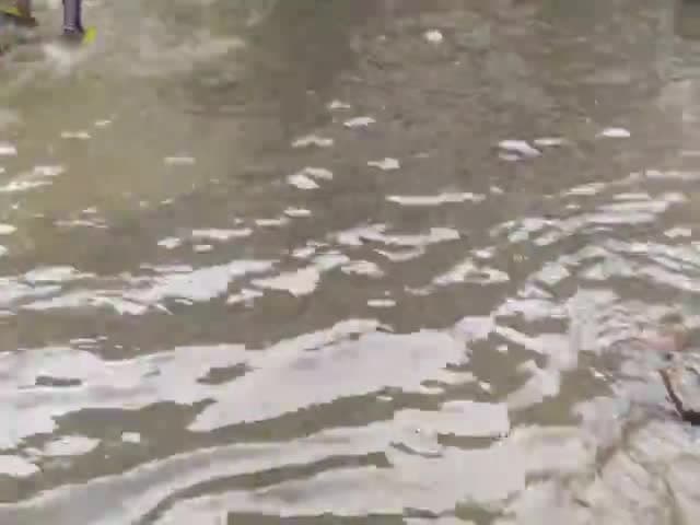 सीतापुर: Sheikh Sarai purana Sitapur Hakim ki masjid koi Kam nahin ho raha hai #newslive24  #news11bharat