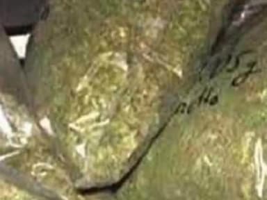 सिंगरौली: गोभा चौकी पुलिस ने 500 ग्राम गांजा के साथ एक आरोपी को जलहथनी से किया गिरफ्तार