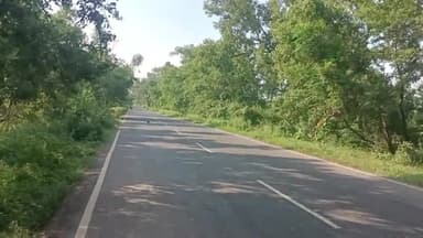 सेल जमीन 26 कठा का है फोर लाइन.पर है बहुत कम रेट में मिलेगा.शेखपुरा जिला में चेबारा रोड में है. तो कांटेक्ट कीजिये 9570651243