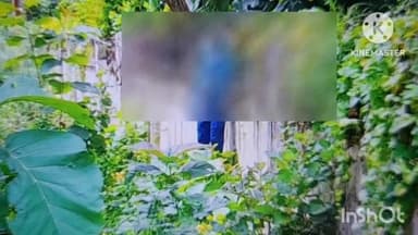 सुल्तानपुर: अमहट इलाके में करंट की चपेट में आने से एक व्यक्ति की हुई मौत