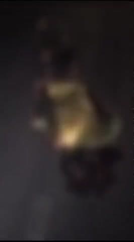 जलेसर: रामगढ़ी के पास सड़क पर घायल अवस्था में मिले अज्ञात युवक को चिकित्सकों ने घोषित किया मृत