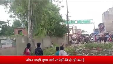 रॉबर्ट्सगंज: भरहरी मुख्य सड़क मार्ग पर पेड़ों की कटाई से लगा लंबा जाम ,बीते दिनों  पेड़ की डाल गिरने से हुआ था हादसा